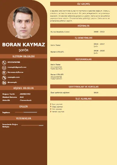 Şoför Örnek cv indir